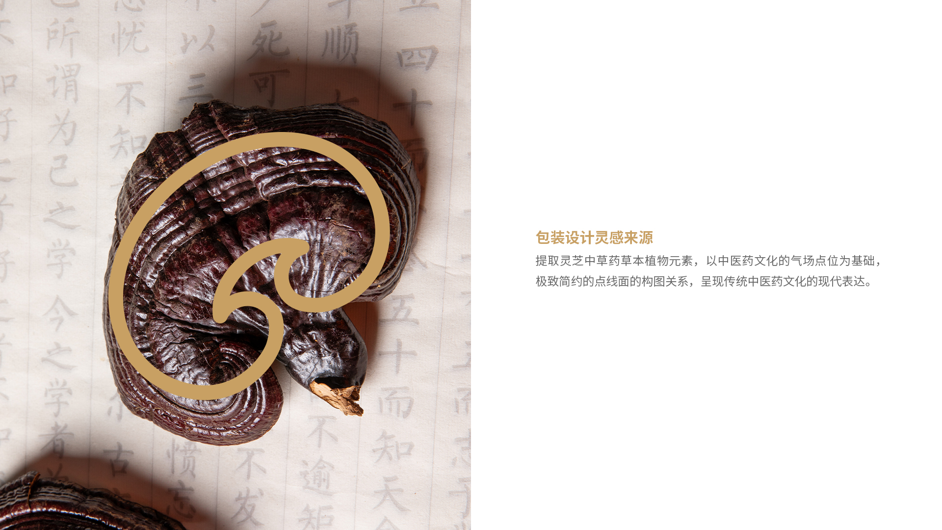 保健品林志孢子粉品牌設(shè)計案例