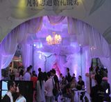 ļ鲩(hu)Ձu
